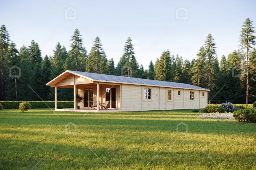 medinis namas lung 6710bfd544831