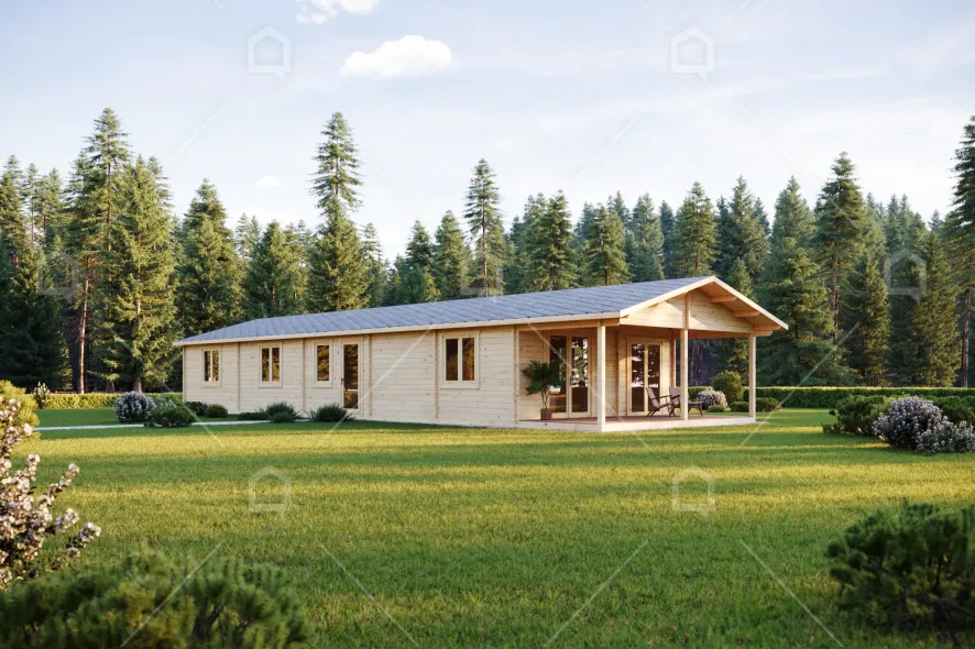 medinis namas lung 6710bfd9b40e7