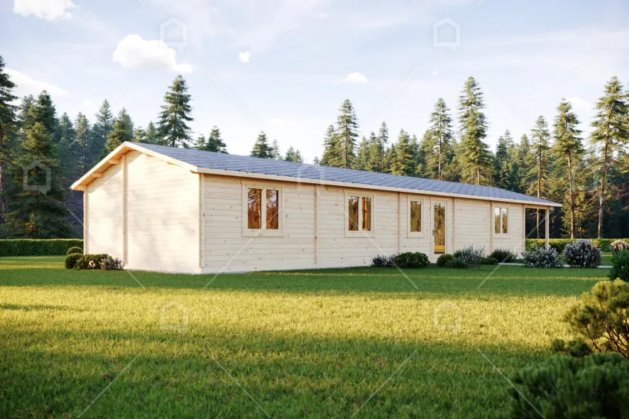 medinis namas lung 6710bfe3ed0a7