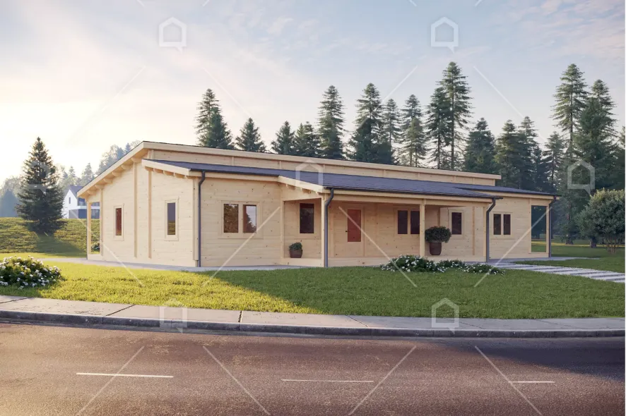 medinis namas amazon briedis 65cdec176ad3d